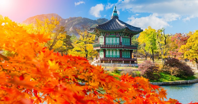 Croazieră în Japonia și Coreea De Sud - Toamna la Palatul Gyeongbokgung,Seul Coreea de Sud XXL