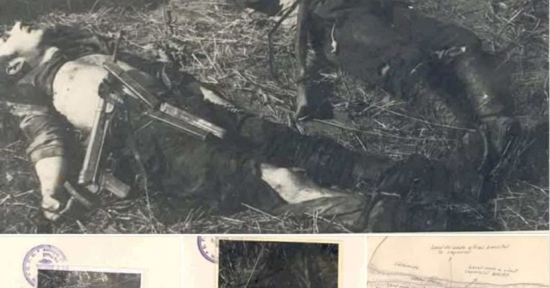 9951e5b3-ce45-479b-881c-a9ceb3165b7e