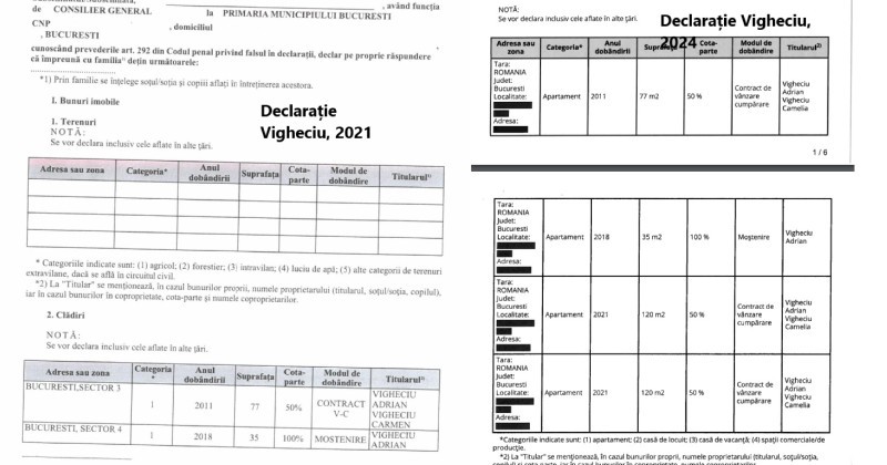 vigheciu declarații avere1