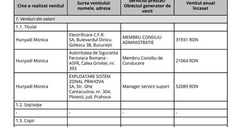 companii de stat1 monica hunyadi1