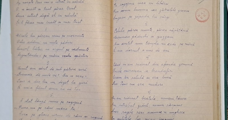 637755634_1378567780980614_2234073083817273128_n