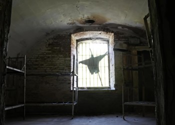 EXCLUSIV. Cu moartea pre moarte călcând. Necunoscuta istorie a partizanilor din Gruparea ”Arnota”. De la originile bucureștene la jertfele din munți și gropile comune. Cum au fost asasinații liderii grupării