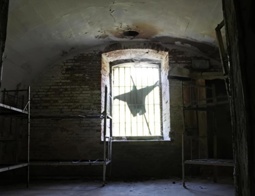 EXCLUSIV. Cu moartea pre moarte călcând. Necunoscuta istorie a partizanilor din Gruparea ”Arnota”. De la originile bucureștene la jertfele din munți și gropile comune. Cum au fost asasinații liderii grupării