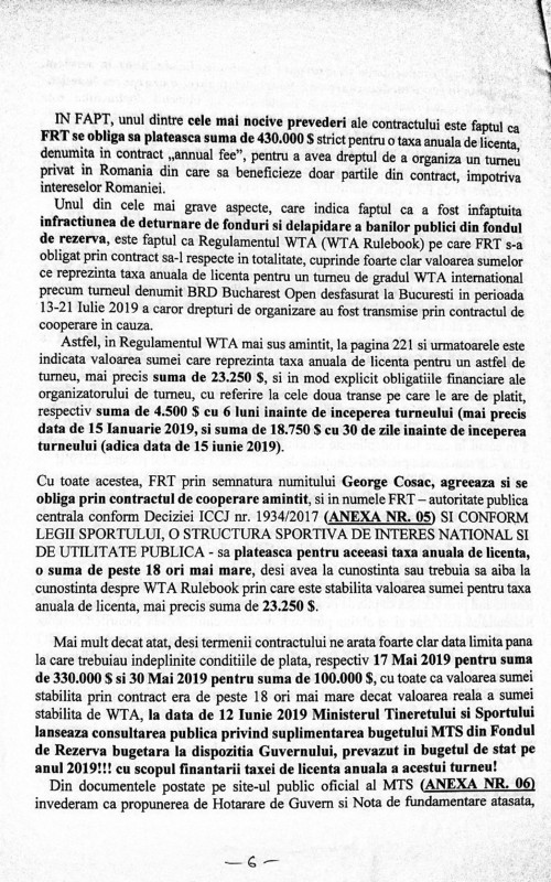 plangere penala Dancila-page-006.jpg
