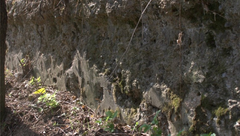 EXCLUSIV Grupaj FOTO: Zidul execuțiilor din Valea Piersicilor, kilometrul 0 al genocidului comunist. Aici au fost ASASINAȚI în masă cei mai frumoși martiri ai României. Misterul celor 4 peri împovărați de roade