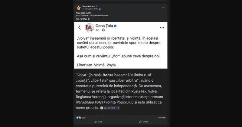 dana budeanu toiu 23