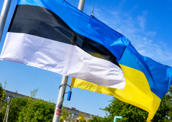 Ministrul de Externe al Estoniei: "Dronele ucrainene rătăcite care se prăbușesc pe teritoriul NATO reprezintă un preț care merită plătit" / "Nu îi spunem Ucrainei să se oprească" / "Știm că tonul din jurul lui Putin s-a schimbat în ultimele două luni și jumătate... Nu mai este atât de optimist"