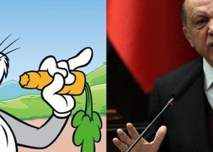 Noaptea minții: autocratul Erdogan declară RĂZBOI TOTAL lui Bugs Bunny și tricourilor strâmte! Nici țestoasele ninja nu se simt prea bine în Turcia