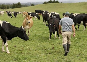 Coșmarul unui fermier din Vrancea a luat sfârșit: instanța i-a acordat despăgubiri uriașe, făcându-l milionar, după ce afacerea acestuia fusese distrusă de statul român / Situația are legătură tot cu deciziile catastrofale legate de A7, autostradă care a pierdut, pe anumite segmente, și finanțarea prin PNRR