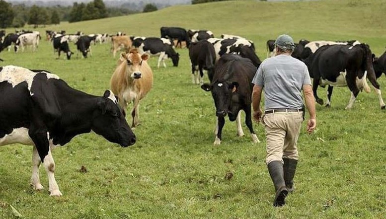 Coșmarul unui fermier din Vrancea a luat sfârșit: instanța i-a acordat despăgubiri uriașe, făcându-l milionar, după ce afacerea acestuia fusese distrusă de statul român / Situația are legătură tot cu deciziile catastrofale legate de A7, autostradă care a pierdut, pe anumite segmente, și finanțarea prin PNRR