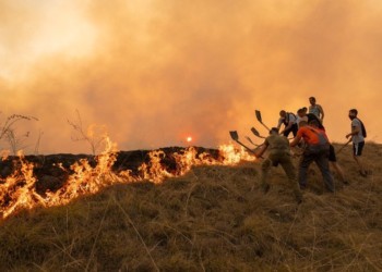 Niciun alt popor nu a mulțumit României atât de frumos! Sârbii au umplut internetul cu mesaje de recunoștință pentru ajutorul românilor în stingerea incendiilor de la Deliblato: „Mulțumim din suflet fraților noștri! Dacă nu e prea mare deranjul, vă implorăm să o luați și pe Laura Kövesi cu voi!”