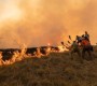 Niciun alt popor nu a mulțumit României atât de frumos! Sârbii au umplut internetul cu mesaje de recunoștință pentru ajutorul românilor în stingerea incendiilor de la Deliblato: „Mulțumim din suflet fraților noștri! Dacă nu e prea mare deranjul, vă implorăm să o luați și pe Laura Kövesi cu voi!”