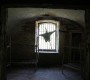 20 noiembrie 1957. La Jilava, în Valea Piersicilor, sunt executați cei 5 partizani făgărășeni din gruparea condusă de Ion Gavrilă Ogoranu. Procesul verbal de execuție