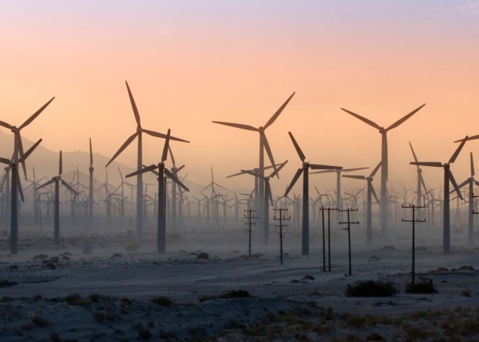 Eolienele AFECTEAZĂ natura și economia mai mult decât se credea până acum – studiul unui institut german