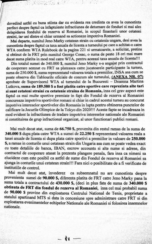 plangere penala Dancila-page-011.jpg