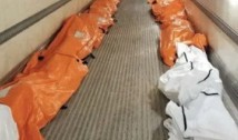 Imagine șoc din SUA, New York. Morții sunt cărați cu camioane frigorifice. Asistent medical: „Este realitatea cruntă cu care ne confruntăm și în care unii dintre noi și-au găsit deja sfârșitul”