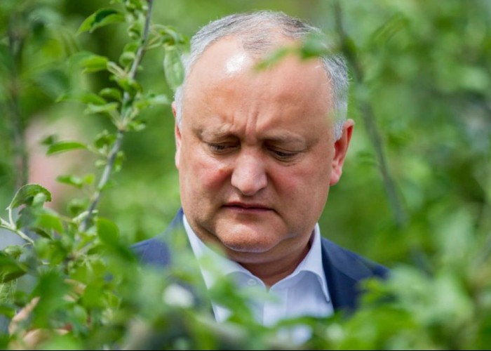 Veselie și șampanie la PSRM și la Moscova: O băbuță i-a ghicit în ouă lui Dodon că va câștiga la prezidențiale. Minunea de la Etulia